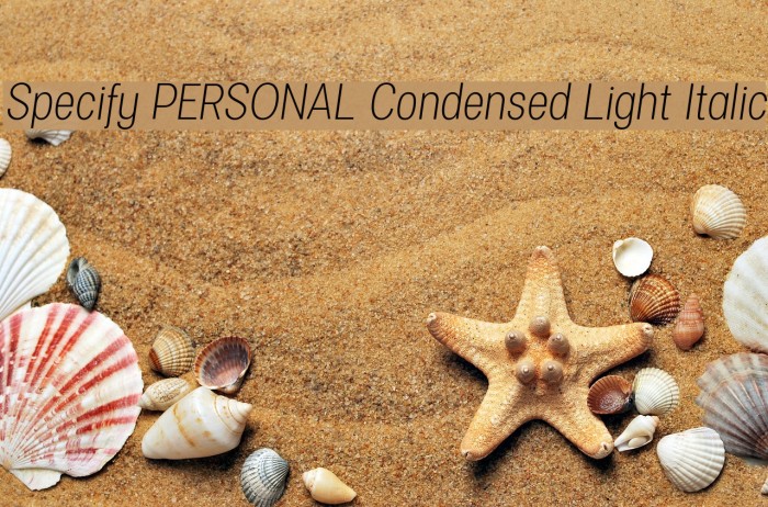 Specify PERSONAL Condensed Light Italic Font examples
