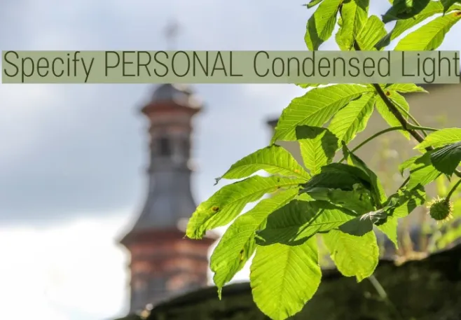 Specify PERSONAL Condensed Light Example 3