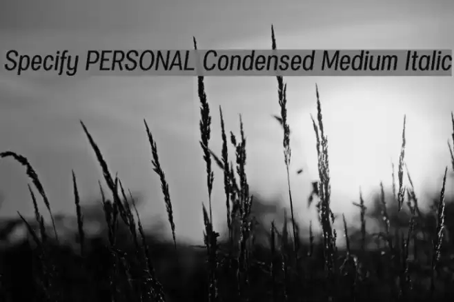 Specify PERSONAL Condensed Medium Italic Font examples
