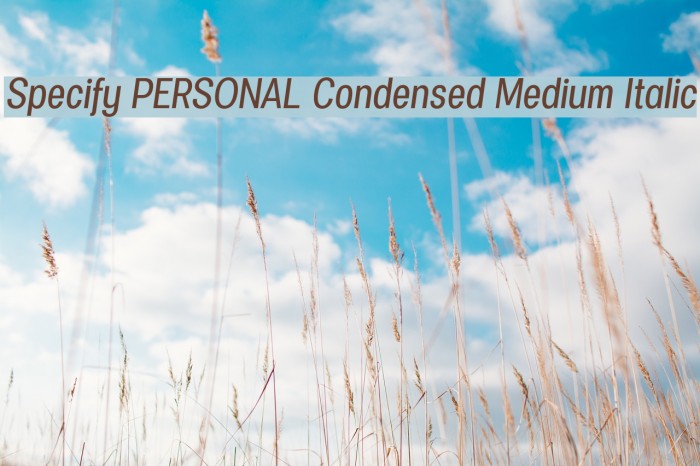 Specify PERSONAL Condensed Medium Italic Font examples