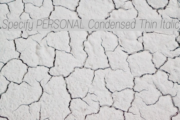 Specify PERSONAL Condensed Thin Italic Font examples