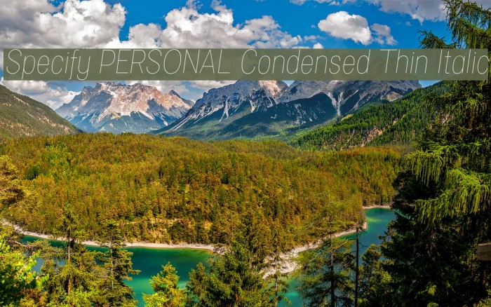 Specify PERSONAL Condensed Thin Italic Font examples