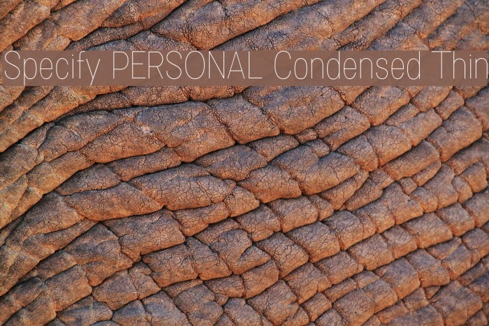 Specify PERSONAL Condensed Thin Font examples