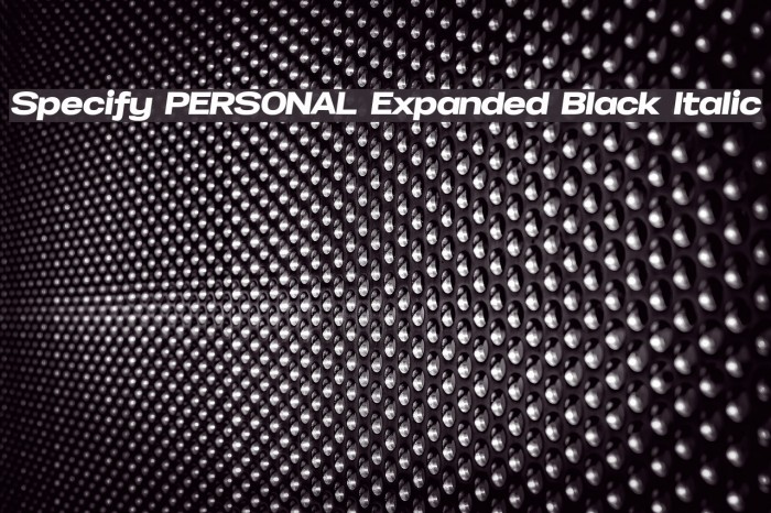 Specify PERSONAL Expanded Black Italic Font examples