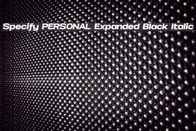 Specify PERSONAL Expanded Black Italic Example 1