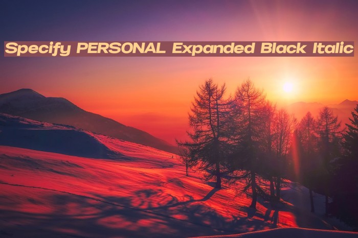Specify PERSONAL Expanded Black Italic Font examples