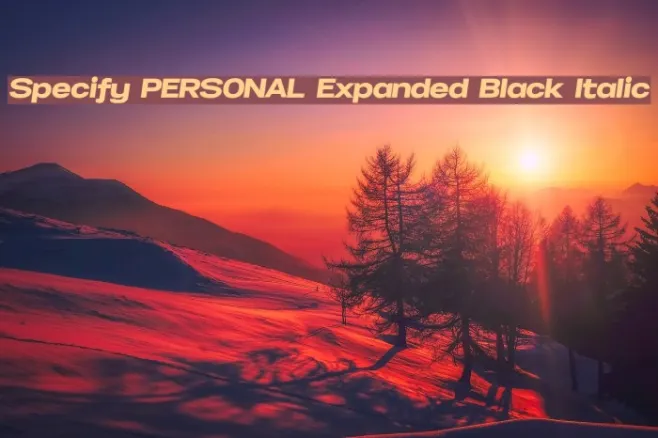 Specify PERSONAL Expanded Black Italic Example 3