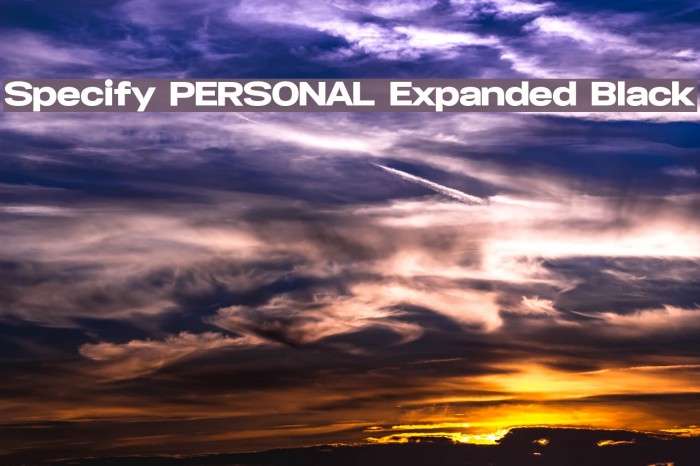 Specify PERSONAL Expanded Black Font examples