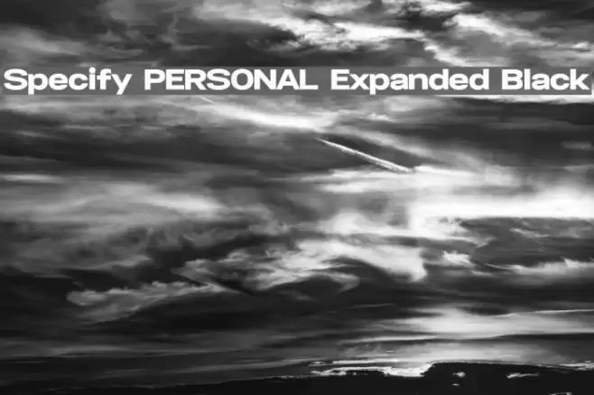 Specify PERSONAL Expanded Black Font examples