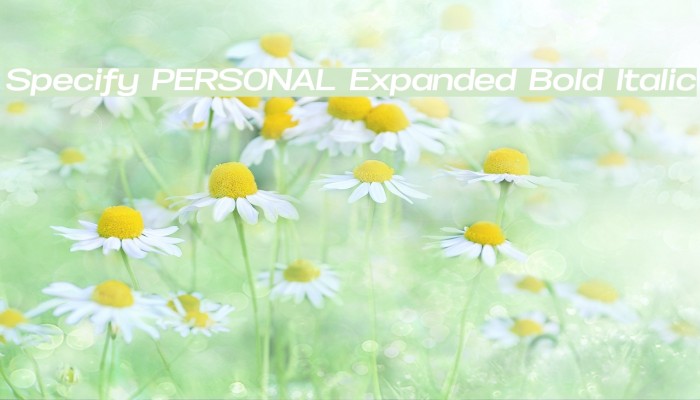 Specify PERSONAL Expanded Bold Italic Font examples