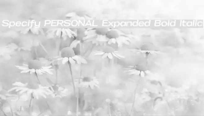 Specify PERSONAL Expanded Bold Italic Font examples
