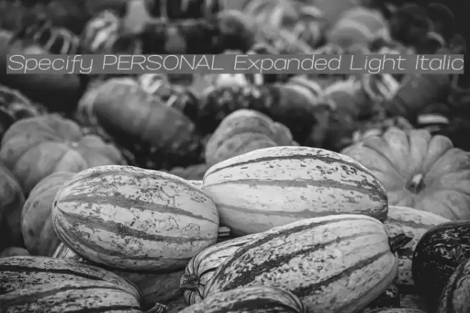 Specify PERSONAL Expanded Light Italic Font examples
