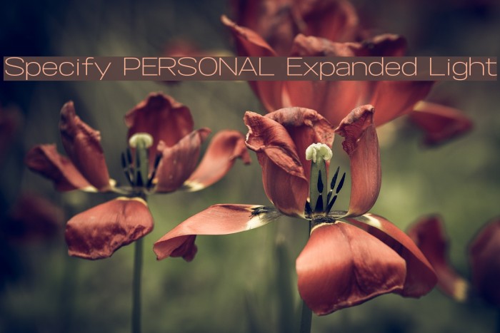 Specify PERSONAL Expanded Light Font examples