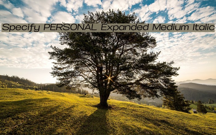 Specify PERSONAL Expanded Medium Italic Font examples