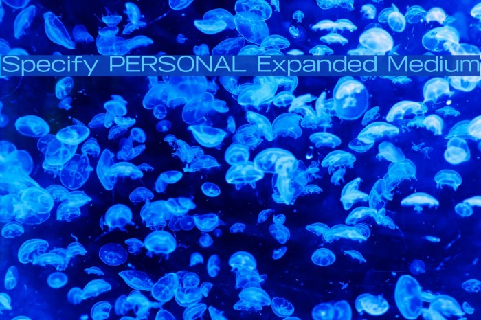 Specify PERSONAL Expanded Medium Font examples