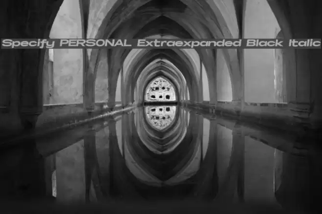 Specify PERSONAL Extraexpanded Black Italic Font examples