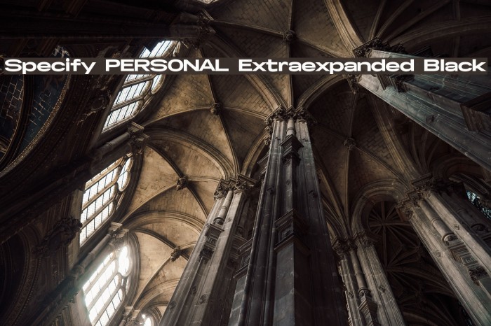 Specify PERSONAL Extraexpanded Black Font examples