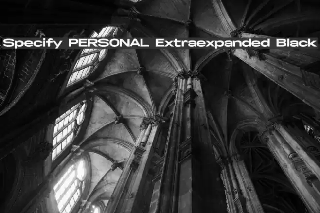 Specify PERSONAL Extraexpanded Black Font examples