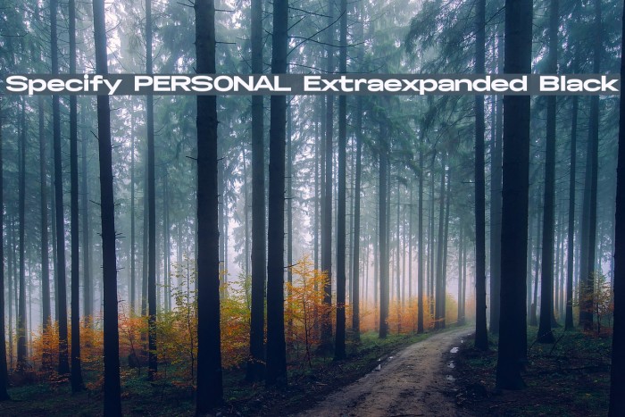 Specify PERSONAL Extraexpanded Black Font examples