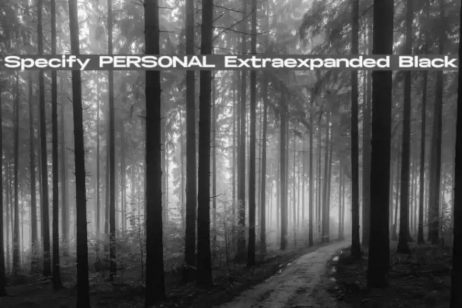 Specify PERSONAL Extraexpanded Black Font examples