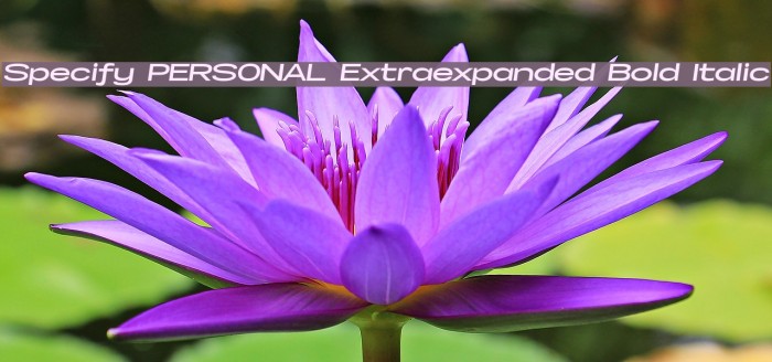 Specify PERSONAL Extraexpanded Bold Italic Font examples