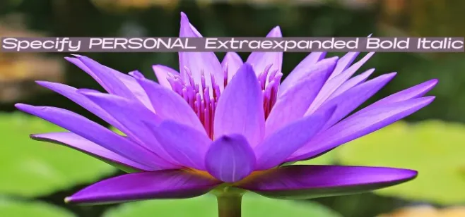 Specify PERSONAL Extraexpanded Bold Italic Example 1