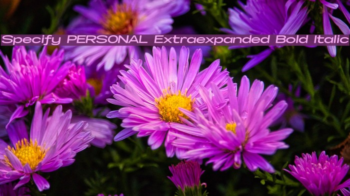 Specify PERSONAL Extraexpanded Bold Italic Font examples