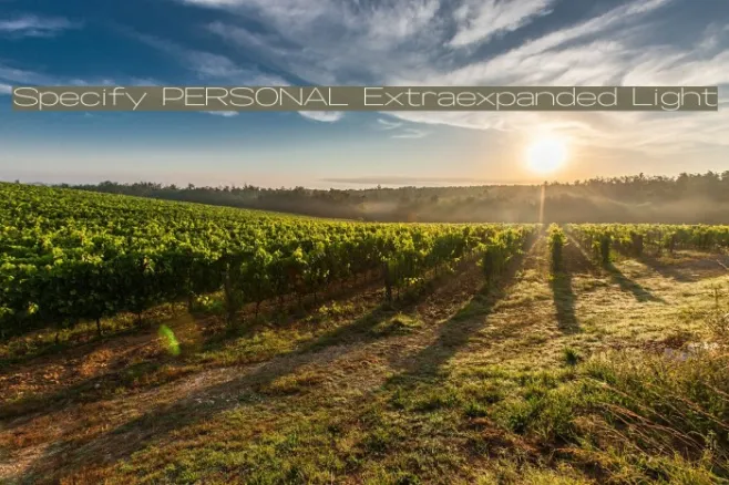 Specify PERSONAL Extraexpanded Light Example 1