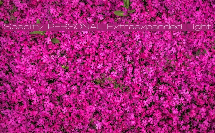 Specify PERSONAL Extraexpanded Light Font examples