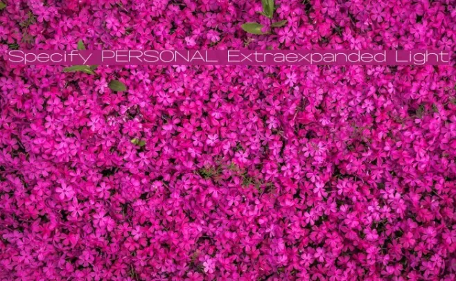 Specify PERSONAL Extraexpanded Light Example 3