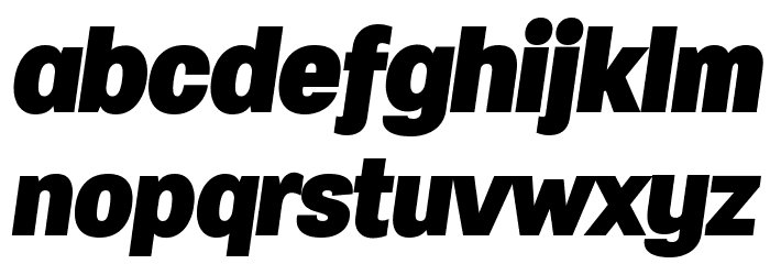 Specify PERSONAL Normal Black Italic Font LOWERCASE