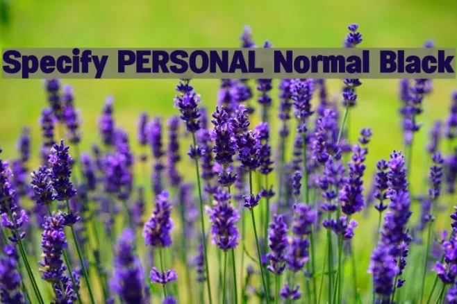 Specify PERSONAL Normal Black Example 1