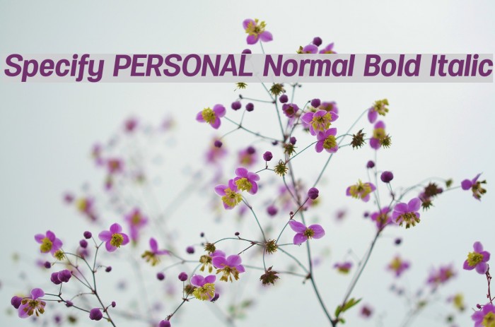 Specify PERSONAL Normal Bold Italic 字体 examples