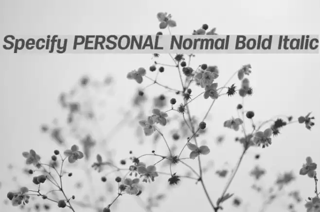 Specify PERSONAL Normal Bold Italic 字体 examples