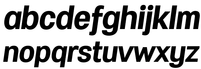 Specify PERSONAL Normal Bold Italic 字体 小写