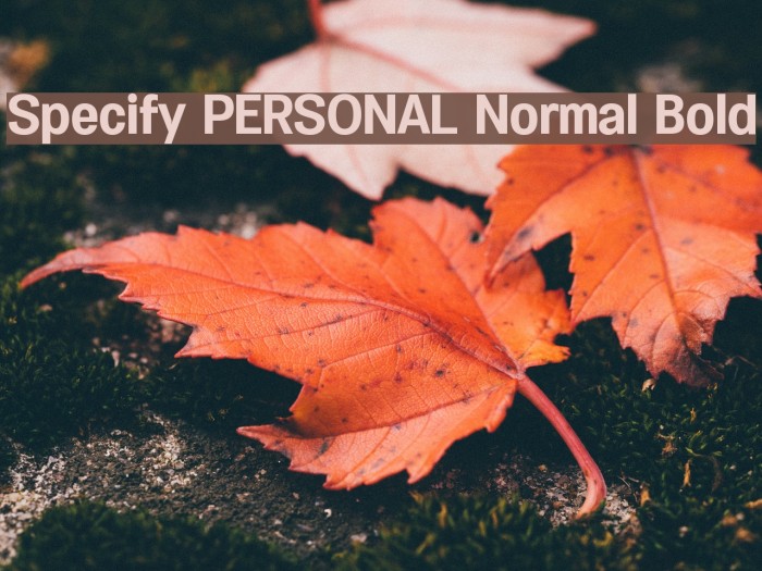 Specify PERSONAL Normal Bold Font examples