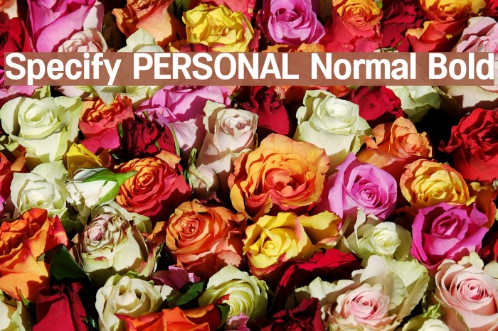 Specify PERSONAL Normal Bold Font examples