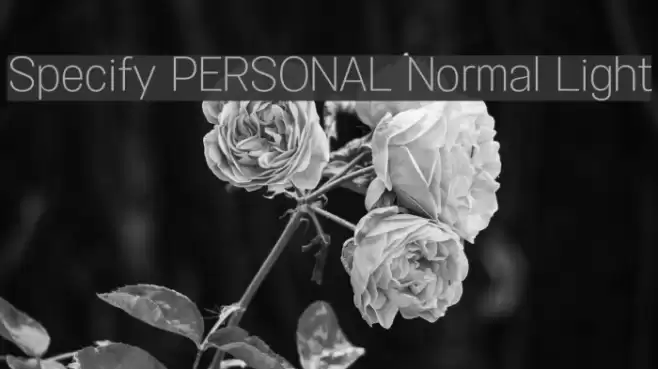 Specify PERSONAL Normal Light Font examples