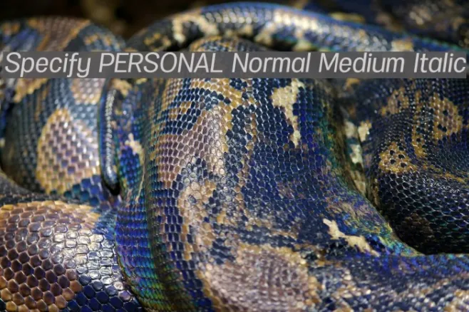 Specify PERSONAL Normal Medium Italic Example 1