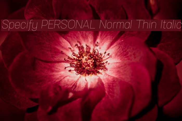 Specify PERSONAL Normal Thin Italic Font examples