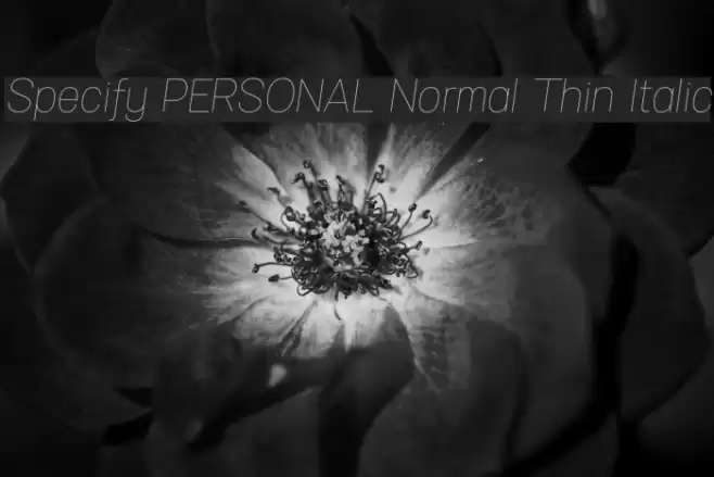 Specify PERSONAL Normal Thin Italic Font examples