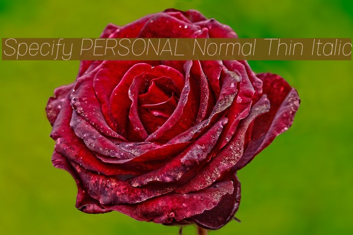 Specify PERSONAL Normal Thin Italic Font examples