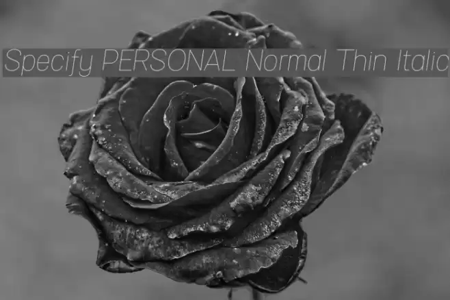 Specify PERSONAL Normal Thin Italic Font examples