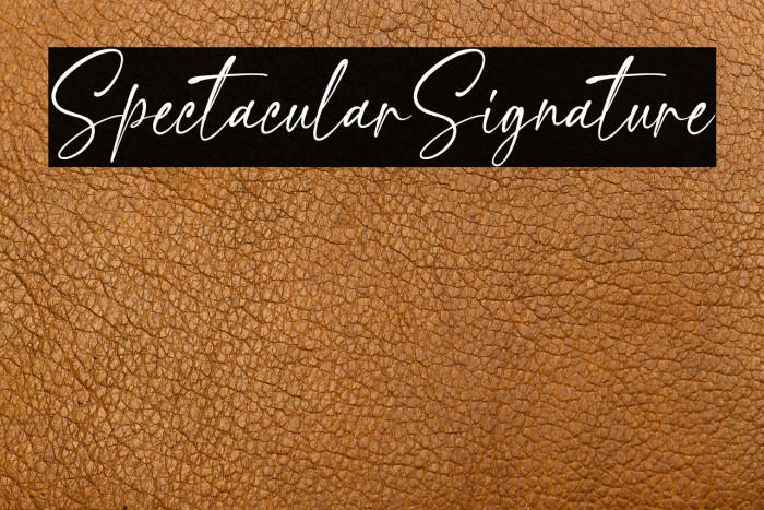 SpectacularSignature Example 2