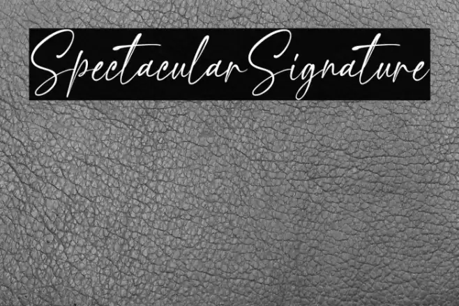 SpectacularSignature Schriftart examples