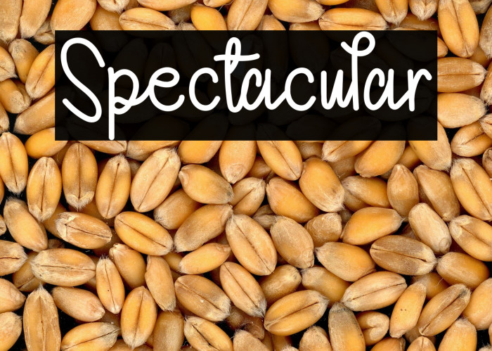 Spectacular Example 1