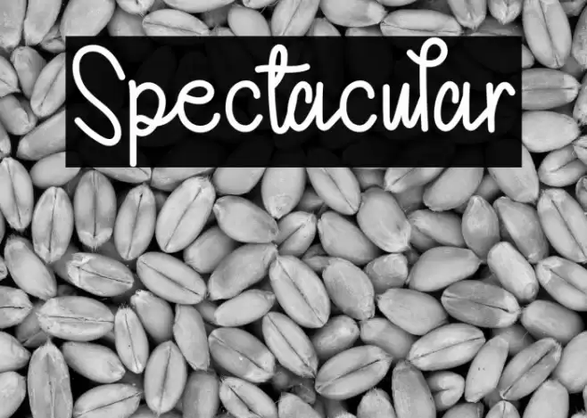 Spectacular Font examples