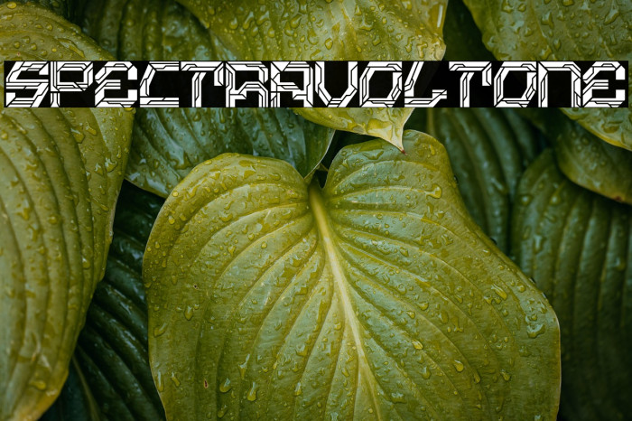 Spectra Volt One Example 2