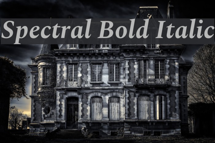 Spectral Bold Italic Font examples