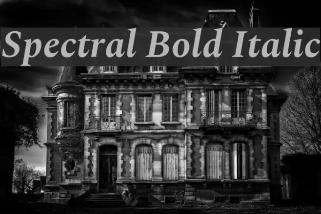 Spectral Bold Italic Fonte examples